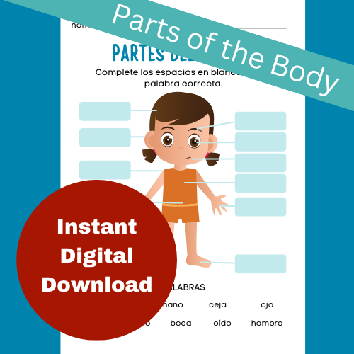 Parts of the Body - partes del cuerpo Digital Downlad